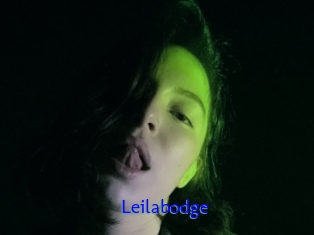 Leilabodge