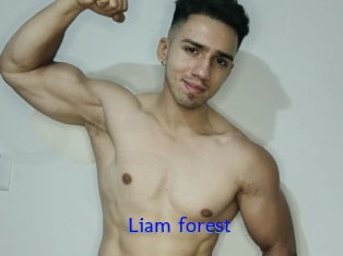 Liam_forest