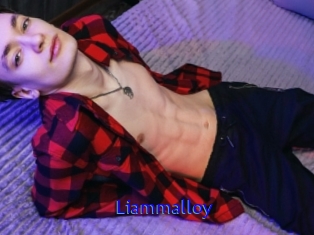 Liammalloy