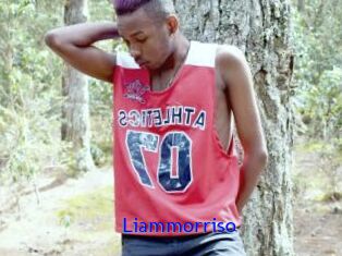 Liammorriso