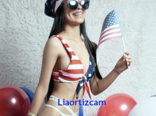 Liaortizcam
