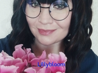 Lillybloom