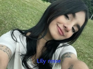 Lily_rosse
