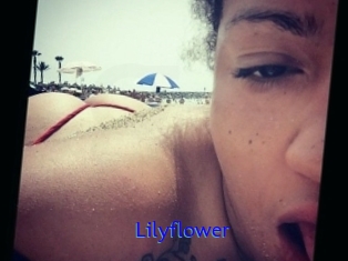 Lilyflower