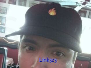 Link323