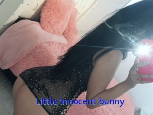 Little_innocent_bunny