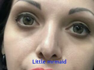Little_mrmaid
