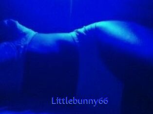 Littlebunny66