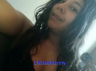 Littleebunny