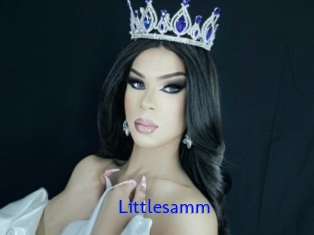 Littlesamm