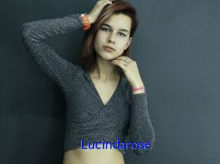 Lucindarose