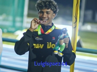 Luigispaez44