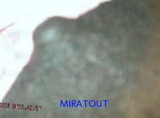 MIRATOUT Sexo Gratis