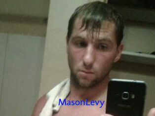 Mason_Levy