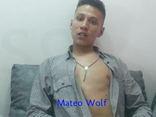 Mateo_Wolf