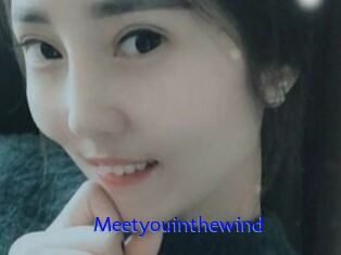 Meetyouinthewind
