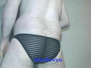 Mike_Blevins
