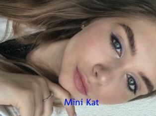 Mini_Kat