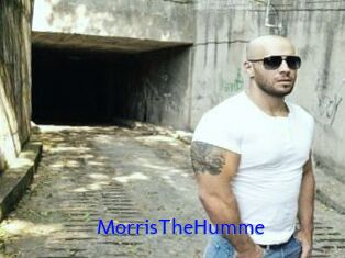 MorrisTheHumme
