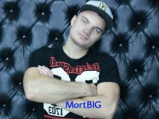 MortBIG