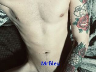 MrBleu