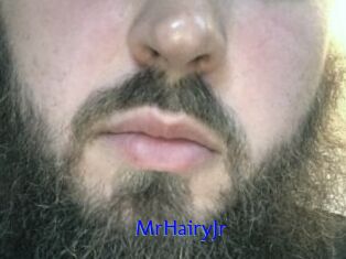 MrHairyJr