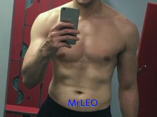 MrLEO