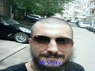MrSnaky