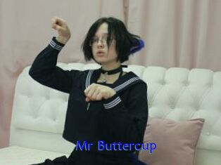 Mr_Buttercup