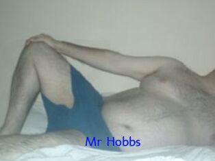 Mr_Hobbs
