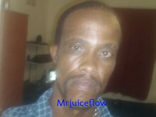 Mrjuiceflow