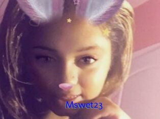 Mswet23