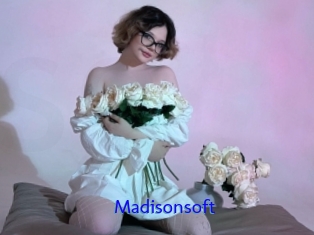 Madisonsoft
