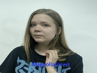 Magnoliaforest