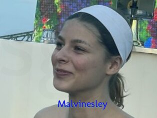 Malvinesley