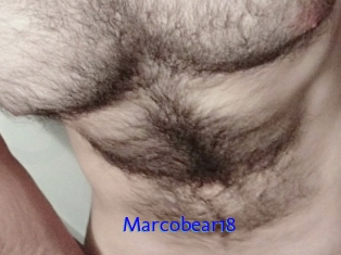 Marcobear18
