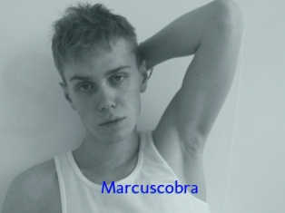 Marcuscobra