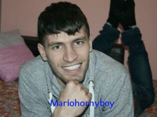 Mariohornyboy