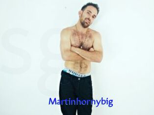Martinhornybig