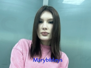 Marybibleys
