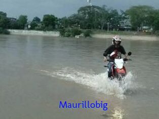 Maurillobig