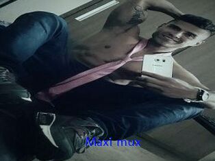 Maxi_mux