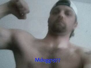 Mdogg1977