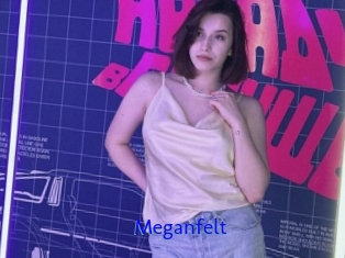 Meganfelt