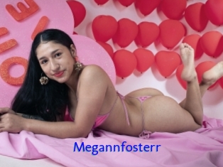 Megannfosterr