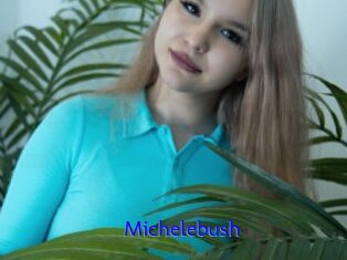 Michelebush