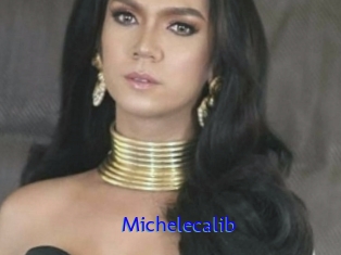 Michelecalib