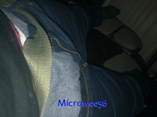 Microwee56