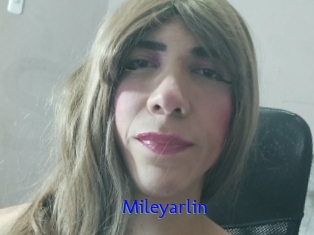 mileyarlin Sexo Gratis