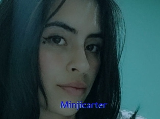 Minjicarter